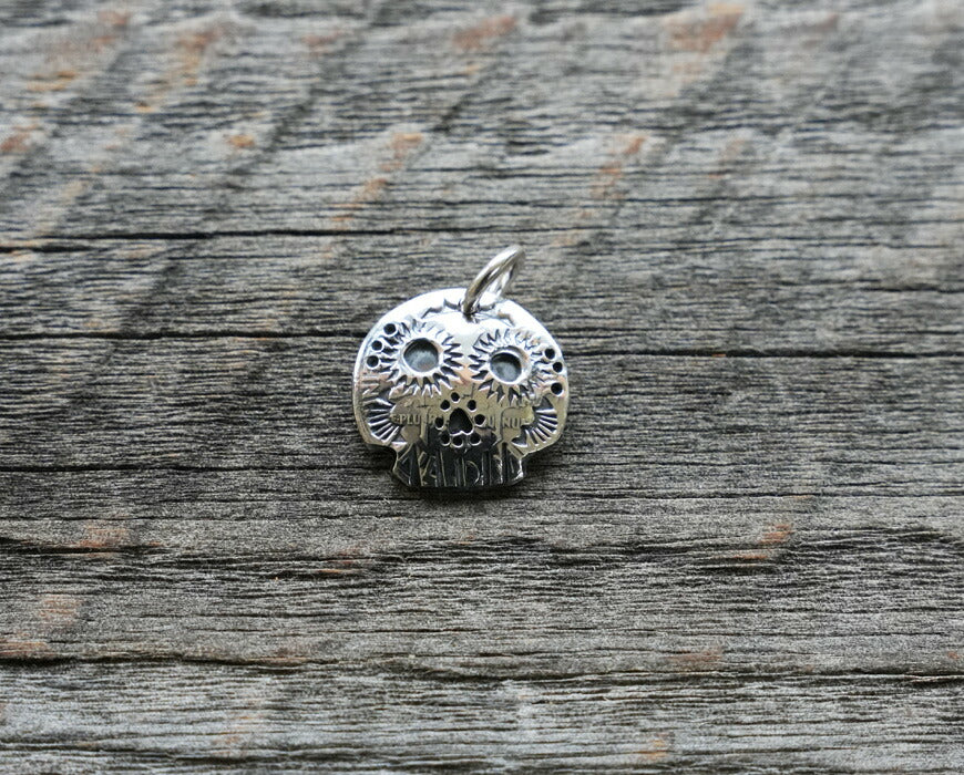 バーンズ BARNS × ノースワークス NORTH WORKS シルバー900 10セントコイン ペンダントトップ MEXICAN SKULL BR-7011W 【2026年春夏新作】